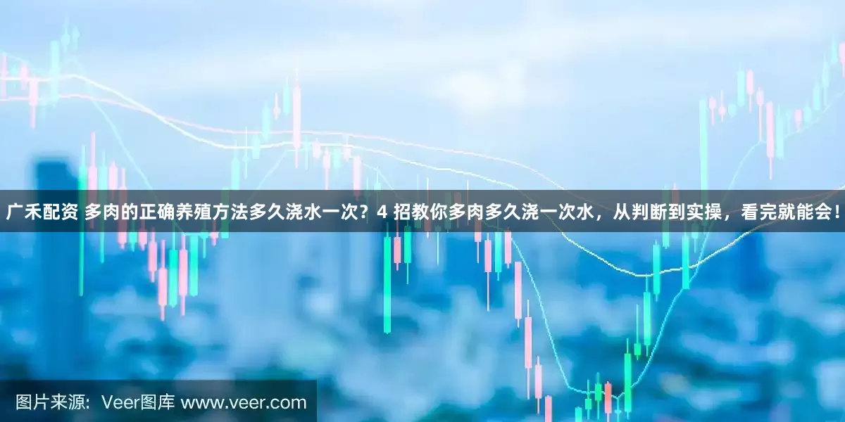广禾配资 多肉的正确养殖方法多久浇水一次？4 招教你多肉多久浇一次水，从判断到实操，看完就能会！