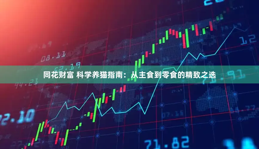 同花财富 科学养猫指南：从主食到零食的精致之选