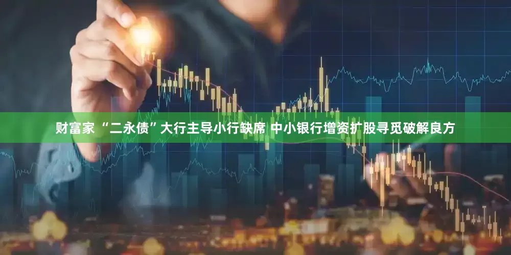 财富家 “二永债”大行主导小行缺席 中小银行增资扩股寻觅破解良方